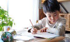 Quế cải thiện khả năng học tập