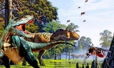 Những biến động lịch sử thế giới bắt nguồn từ... sốt rét