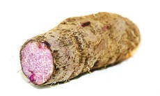 Khoai mỡ, một vị thuốc quý dân gian