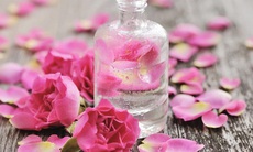 8 công dụng tuyệt vời của nước hoa hồng – bạn đã thử?