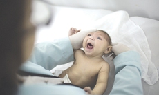 Bệnh do virút Zika ở trẻ em có nguy hiểm?