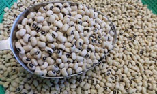 Món ăn thuốc từ đậu trắng