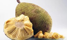 Khám phá lợi ích từ trái mít với sức khỏe