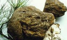Phục linh trị tiêu chảy, bí tiểu, an thần