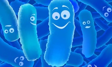 Probiotic càng đa chủng càng thích hợp cho trẻ