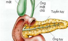 Từ trường hợp tử vong do viêm tụy cấp: Căn bệnh này nguy hiểm thế nào?