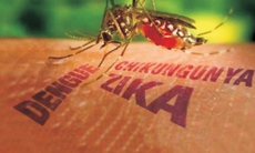 Giám sát lồng ghép 3 trong 1 bệnh do muỗi truyền