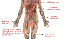 Nguy cơ ung thư khi sử dụng thuốc lá