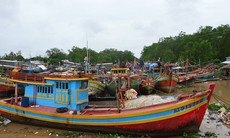 Ứng phó khẩn cấp với bão số 16