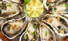 Ăn gì dễ thụ thai?