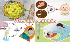 Các bệnh có thể dự phòng bằng vắc-xin: Bệnh viêm não Nhật Bản