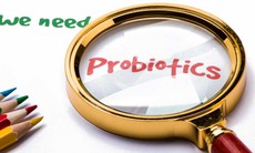 Bổ sung probiotics làm giảm độc tính kim loại nặng