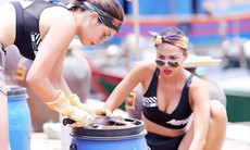 Nhặt sạn Cuộc đua kỳ thú 2019
