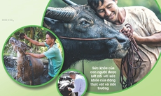 “Con người – Động vật – Sinh quyển”: Tam giác vàng của ngành chăm sóc sức khỏe