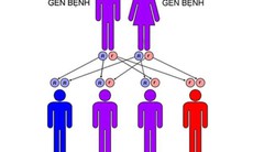 Bệnh Thalassemia có thể phòng ngừa