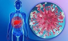 Virus viêm gan B có khả năng lây nhiễm cao gấp 50-100 lần so với HIV