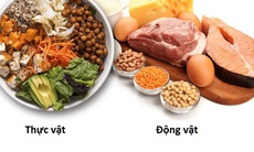 Thiếu protein, con người sẽ không hoạt động được