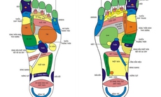 Xoa bóp bàn chân  trị bệnh và nâng cao sức khỏe