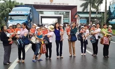 Cuộc giải cứu 10 bé trai Việt Nam và nghi án buôn bán trẻ em lấy nội tạng