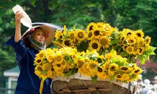 Thời tiết dễ hửng nắng, ấm áp trong Tết Nguyên đán
