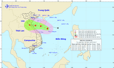 Bão số 4 giật cấp 10 hướng vào Thanh Hóa - Quảng Bình