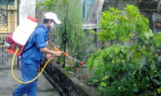 Phun thuốc phòng sốt xuất huyết có độc hại?