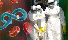 Dịch bệnh Ebola có xu hướng gia tăng, diễn biến phức tạp