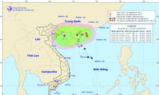 Áp thấp nhiệt đới sẽ mạnh lên thành bão giật cấp 10