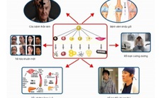 Tọa đàm “Các biện pháp phòng chống Ung thư và bệnh tim mạch – Thành tựu trong Y tế dự phòng Nhật Bản”