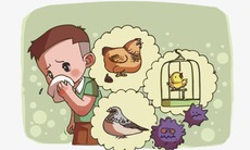 2 ca viêm phổi nặng nghi cúm gia cầm: Làm gì để cúm gia cầm không “hỏi thăm” dịp nghỉ Tết dài ngày?