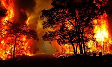 Nắng nóng nguy cơ hoả hoạn, cháy rừng, Bộ Công an chỉ đạo khẩn về phòng cháy