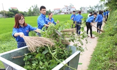 Hà Nội khuyến cáo người dân vệ sinh môi trường diệt bọ gậy và muỗi truyền bệnh