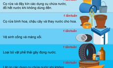 Loại bỏ nơi sinh sản của muỗi bằng 5 cách đơn giản để phòng bệnh sốt xuất huyết