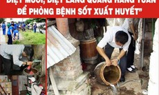 Hà Nội: Gia tăng ca mắc sốt xuất huyết, cần ráo riết vệ sinh môi trường, diệt bọ gậy