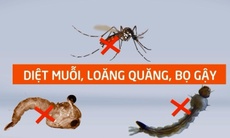 Hơn 70.000 ca mắc sốt xuất huyết, cần tích cực diệt bọ gậy và muỗi truyền bệnh