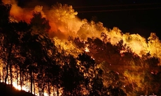 Rừng thông hơn 40 tuổi bùng cháy 2 lần trong 1 ngày ở Hà Tĩnh