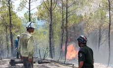 Mưa lớn miền Bắc, cháy rừng miền Trung gây thiệt hại nặng nề