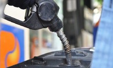 Yêu cầu xử lý hành vi buôn lậu xăng dầu, đưa tạp chất vào tôm
