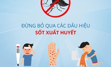 Tháng 11 là đỉnh dịch của sốt xuất huyết, làm sao để không mắc bệnh?