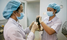 Mới: Việt Nam thử nghiệm vắc xin phòng bệnh COVID-19