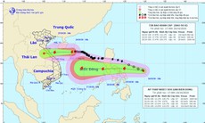 Bão số 8 hướng vào các tỉnh từ Hà Tĩnh đến Quảng Trị, xuất hiện cơn áp thấp mới