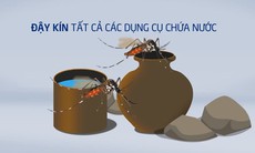 [Video] Cách diệt muỗi đơn giản ai cũng làm được theo khuyến cáo của WHO