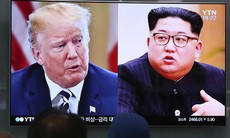 Tổng thống Donald Trump “dành cả tuổi thanh xuân” chuẩn bị cuộc họp với ông Kim Jong - un