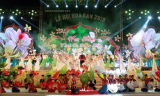 Phòng COVID-19, Điện Biên dừng biểu diễn nghệ thuật, rạp chiếu phim