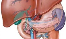 Thế nào được gọi là men gan cao?