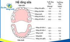 Vì sao trẻ trong giai đoạn mọc răng lại cần bổ sung canxi