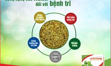 Rutin là gì? Rutin có tác dụng gì trong việc hỗ trợ điều trị bệnh trĩ