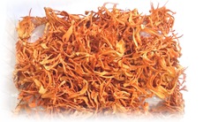 Tăng cường và nâng cao sức khỏe từ Đông Trùng Hạ Thảo