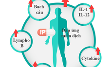 IMMUNEPATH - IP®- 3 lợi ích vượt trội của chất trợ sinh miễn dịch