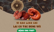 Linh chi - thảo dược tuyệt vời cho người bị ung thư